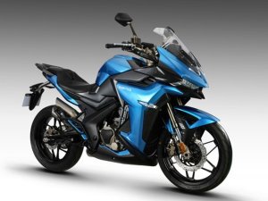  ����310�³�����㽻�� 11�½�½������