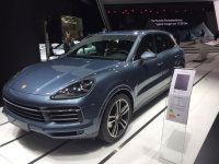 ȫ ȫCayenne11¹