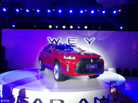 2017���ݳ�չ��WEY P8���ʽ�춯����