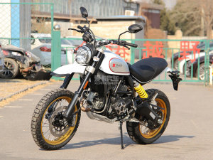  ɳĮѩ�� �ſ���Scrambler Desert Sled