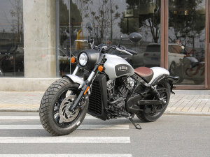  ӡ�ڰ� Scout Bobber���� 15.99������