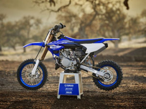  δ��ԽҰ���ֵ�ҡ�� 2018��������YZ65