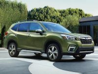 2018ŦԼ��չ��˹��³ȫ��ɭ���˷���