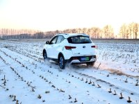 ����DX3 EV���綯���ɹ���ս40�����