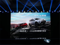 һ�������硰�Լ�������ȼ��2018NEST