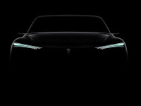 WEY���ܸ���綯SUV ���ڱ�����չ����