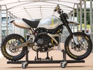  Scrambler 1100 Desert Sled����ع�