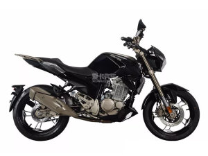  ʮ���������Ϲ����ŷ� ȫ������ZT250-R