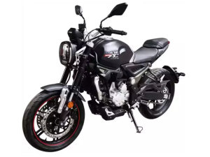  ����LX300R���� ¡��300cc���Žֳ��ع�