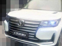 �����¿�CS95������Ϣ ����9����ʽ����