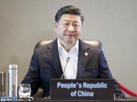 ϰ��ƽ��ϯAPEC�쵼�˷���ʽ���鲢����