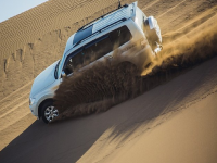 2019����������� һ��������ԽҰ����