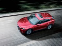 2019�����꽫�� һ���������ȥ�Ķ���
