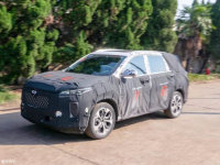 ������ͨ��SUV�����ع� ������������
