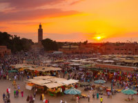 FE 2018-2019�����ڶ�վ����������ʲ