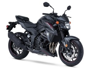  750�ĸ���Ϯ ��ľGSX-S750�ֳ�9������