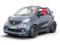 �Ͳ�˹smart fortwo�ر���ͼ��ʽ����