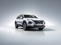 SUV�г����� ���Ĵ�ʤ�����׼�г�ʹ��