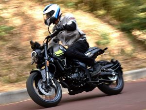  ���Ž������� ��������ʨ250�Լ�����