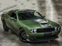 ���淢�������ر���ͼ ŦԼ��չ����