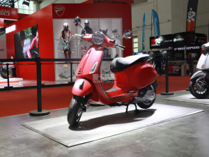  �������ڰ�����2019����Ħչ�³��ϼ�