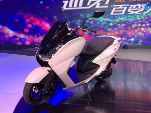  ����������Ѳӥ125���� �ۼ�11200Ԫ��