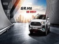 6.6���Ż����� 2019����M6���ɳ�ֵ����