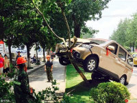 ���ʵ���ռ���ͨ��ȫ���ղ���������˵