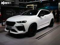 2019�����˸���չ��WEY-GT PRO��ʽ����