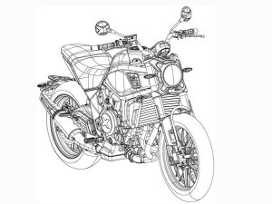  �����׿�700cc���ż�����������չ����