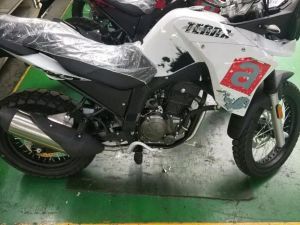  ����ʵ���ع� aprilia TERRA 250����