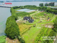 ������AVALON��̽Ѱ֮�á������չ�