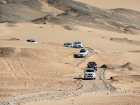 �����ղ������濥�ر����� 11������