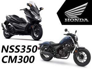  �ö�����·���� ����NSS350/CM300Ԥ��