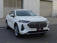 WEYȫ��SUV�걨ͼ ������Ħ��/������