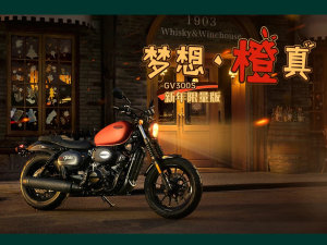  �������GV300S������ �ۼ�ά�ֲ���