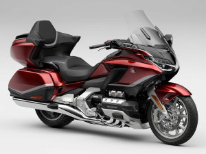  2021������1800���� ������������