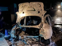Model 3ȫ����ը����˹�������������