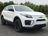 ����REV 5�걨��Ϣ�ع� ������ʽ����