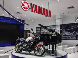  ����XS900R���� ���������������콢��