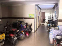 �߲����ý���Υ��ͣ�ŵ綯���г�������