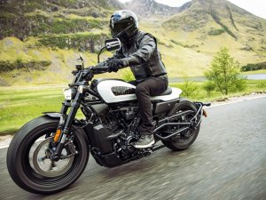  Z����ר�� ���״�άɭSportster S����