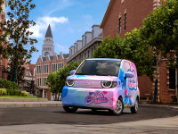 QQ����ܳɶ���չ���� �Ա���MINIEV