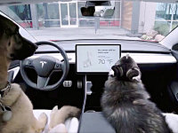 特斯拉Model X Plaid进行Dog Mode测试