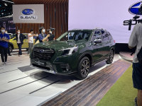 ���ݳ�չ�����ڸĿ�˹��³ɭ��������