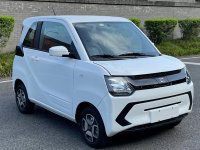 ���ɺϻ������� ���miniEV�걨ͼ�ع�