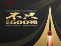 ���ǵϣ���ֻ����500ǿ