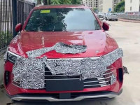 ���ǵϻ�����05���µ��� ��������׷�