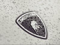2022���������麣����������ר��