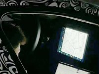 ��ߴ��п��� ����С�����������ع�